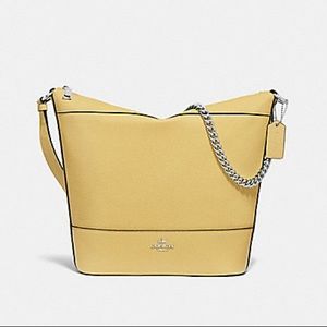 Coach Women's Yellow Leather Hobo Bag with Chain Strap